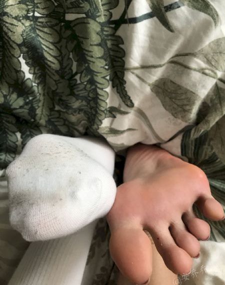海豚湾电影