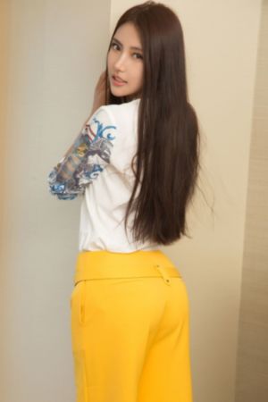 叛逆的鲁鲁修