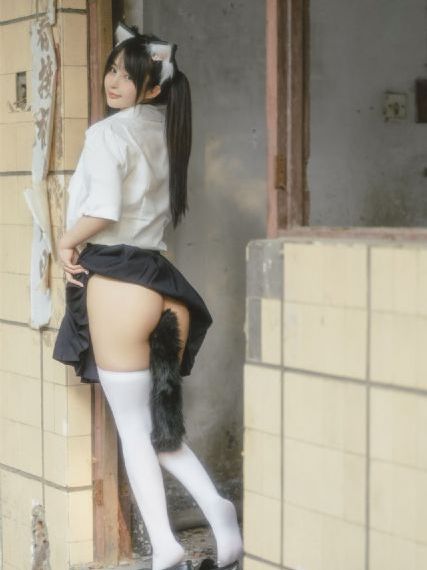 猎罪图鉴电视剧在线观看免费完整版