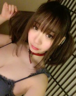 大象的鼻子像什么